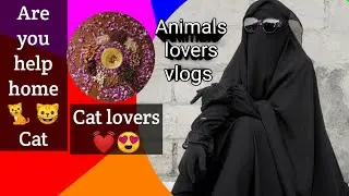 I love cat and help cat 🐈 ! vlogs for entertainment ! #viral