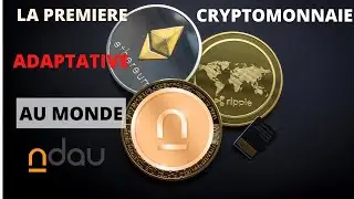 La Première crytomonnaie adaptative au monde  Le NDAU