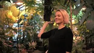 Клип "Целиком"