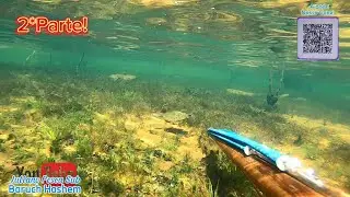 PESCA SUB / ÁGUA CRISTALINA