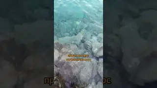 Доступное и красивое место