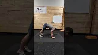 Handstand Hold Pike Floor