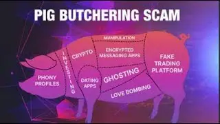 Beware of Pig Butchering Scams: Protect Your Crypto!