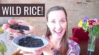 What can you do with WILD RICE & what can WILD RICE do for you? Wild Rice nutrition from a dietitian
