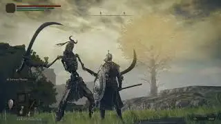 Elden Ring Network Test Part 4
