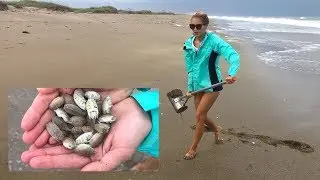 How To CATCH Sand FLEAS!