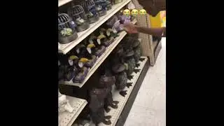 Toucans want the smoke meme