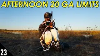 NEW Spot Paid Off BIG Time! (Limits) | 20 GAUGE Duck Hunting 2020