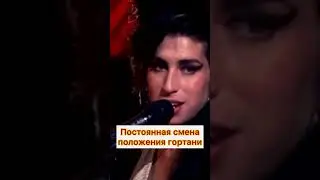 Разбор вокала Amy Winehouse
