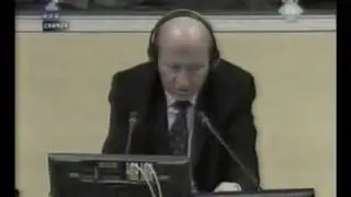 Vojislav Šešelj i svedok Stanković 1/10