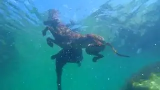 Бухта Ласпи