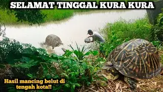 Gajadi Mancing Belut || Melepaskan Kura Kura Darat Jumbo Ke Alam Liar