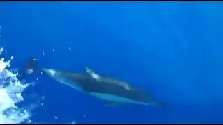 Incontri ravvicinati tra Milos e Amorgos, Grecia