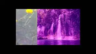 Sample Video Practice Color Grading And Editing