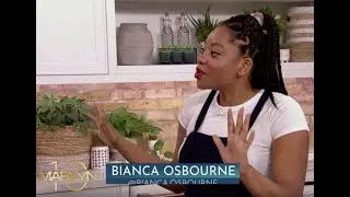 KITCHEN HACKS AND COOKING TIPS // on the Marilyn Denis Show