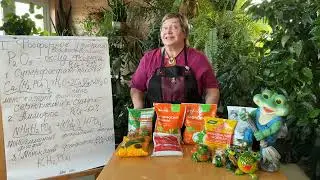 Фосфорные удобрения. Повторяем, вникаем. «Вначале был корень».