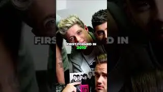 The Evolution of Louis and Harry's Friendship: What Happened After One Direction?...#shorts
