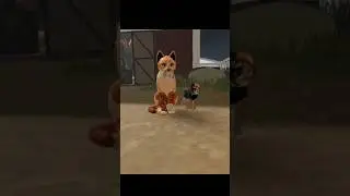 Видео с даноном ( Админ съёмочной, мой ТГ если хотите в съёмочную @Fiery_soul_kB