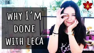 Why I don't use LECA & Semi Hydroponics with Orchids anymore