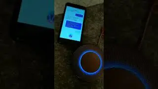 Колонка Маруся беседует сама с собой. #aliexpress #алиэкспресс