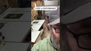 Woodshop Has a “Helper”? #woodworking #dog #woodworker