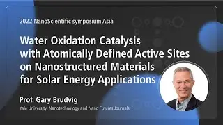 Water Oxidation Catalysis with Atomically Defined Active Sites on Nanostructured (...) | 2022NSSA