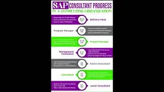 SAP Consultant Progress In Consulting Organization #sapfico #sapmm #sapfico #sapabap#sapewm #stree2