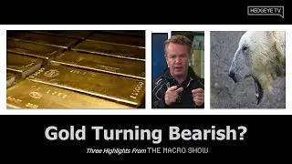 The Macro Show Highlights: Gold Turning Bearish?