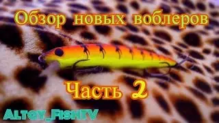 Обзор новых воблеров к сезону 2017! Часть 2!