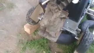 Мухтар поплыл в Телецком озере