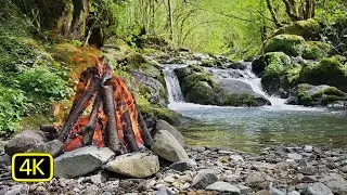 Fire, stream and bird sounds - 4K