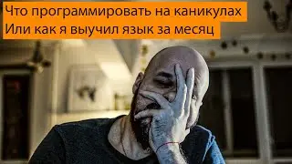 Что программисту делать на каникулах?