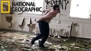 Spoodle : Nature Documentary