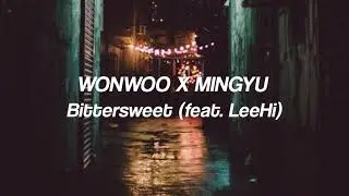 WONWOO X MINGYU - Bittersweet (feat. LeeHi) but you're outside the bar while its raining