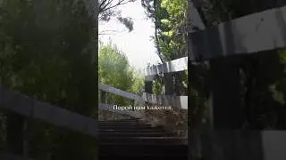 Не упусти момент!