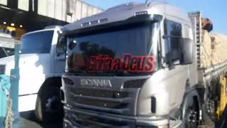 Cabelo batateiro no Ceasa de Minas Gerais