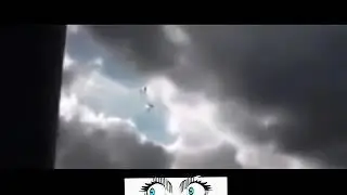 Paranormal video | 10 créatures  Mythique