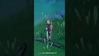 Genshin Impact Secret Chest