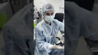 Скрепка от степлера чуть не убила щенка 