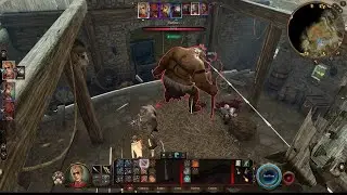 BG3 Act 1 Chapter 3 | What were they doing in there with that body?!?!?