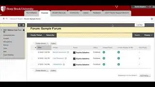 Participate in the Blackboard Discussion Boards!