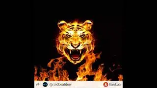 Disco Inferno Music Beat(BandLab)