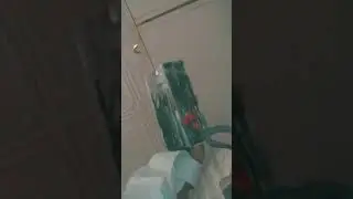 новой дракон