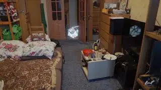 Invasion