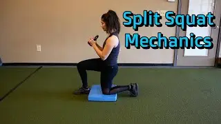 Split Squat Biomechanics