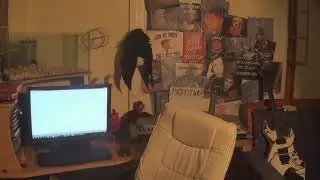 Cum să devii un ninja | Sâmbăta cu Satana