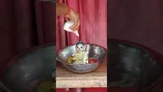 natun gopal sonar Avishek #gopal #krishna #shortsvideo #youtubeshorts #uttarer meye