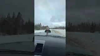 #олегмайями