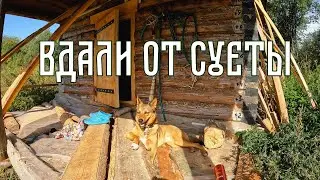Вдали от суеты||Дикие соседи||Что мы готовим на природе #2