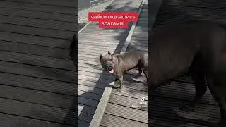 28 июля 2024 г.